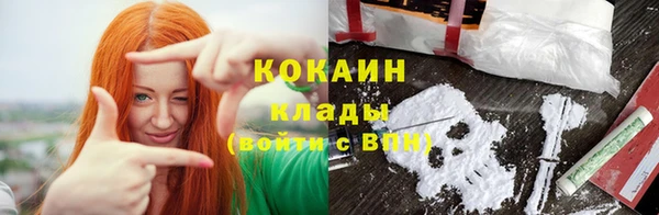 прущие грибы Володарск