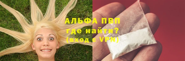 индика Волосово