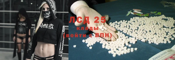 индика Волосово