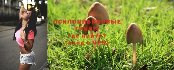 индика Волосово
