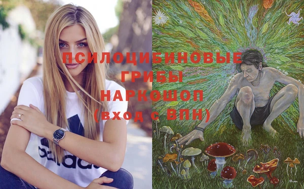 индика Волосово
