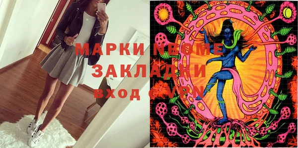 прущие грибы Володарск