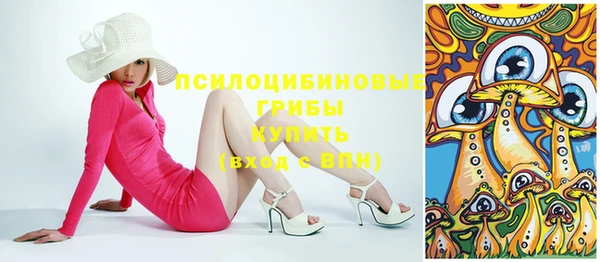 прущие грибы Володарск