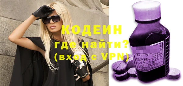 индика Волосово
