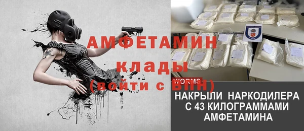 прущие грибы Володарск